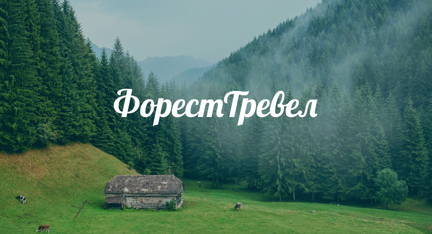 Проект Форест тревел